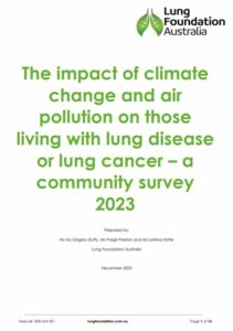 Air pollution survey image