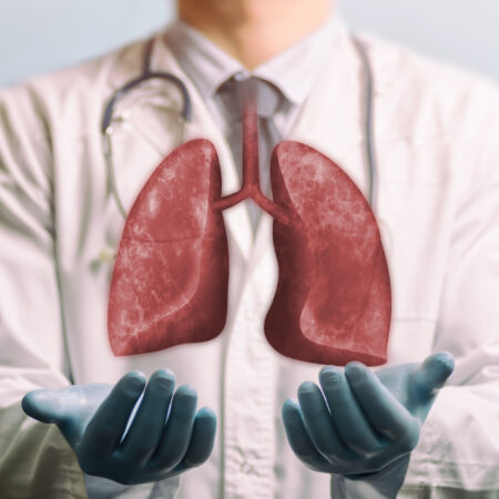 lungs